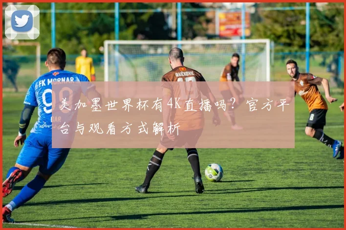 美加墨世界杯有4K直播吗？官方平台与观看方式解析