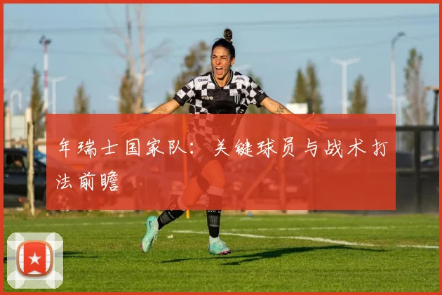 年瑞士国家队:关键球员与战术打法前瞻